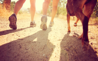 The Increasing Popularity Of Canicross – Getting Fit With Your Dog!